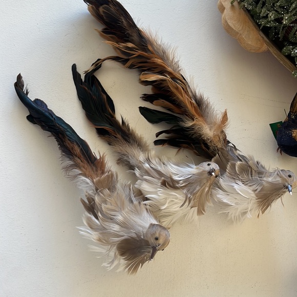 13 Decorative Birds - Picture 3 of 7